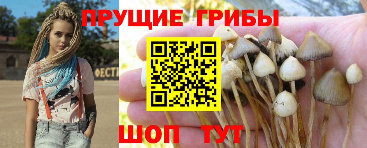 Советский  Бошки Шишки  MDMA  Гашиш  LSD-25  Вход с VPN  Мефедрон   APVP СОЛЬ  